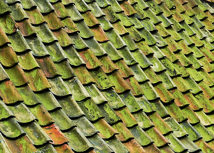 Trendy w architekturze bioklimatycznej
